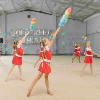 Gold Reef Rhythmic Gymnastic Show 43
